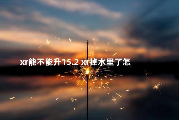 xr能不能升15.2 xr掉水里了怎么办